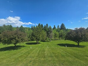 A grassy field with trees and a clear blue sky.