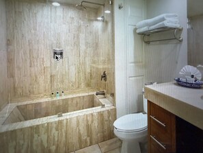 Une salle de bain avec une baignoire, des toilettes et un espace lavabo.