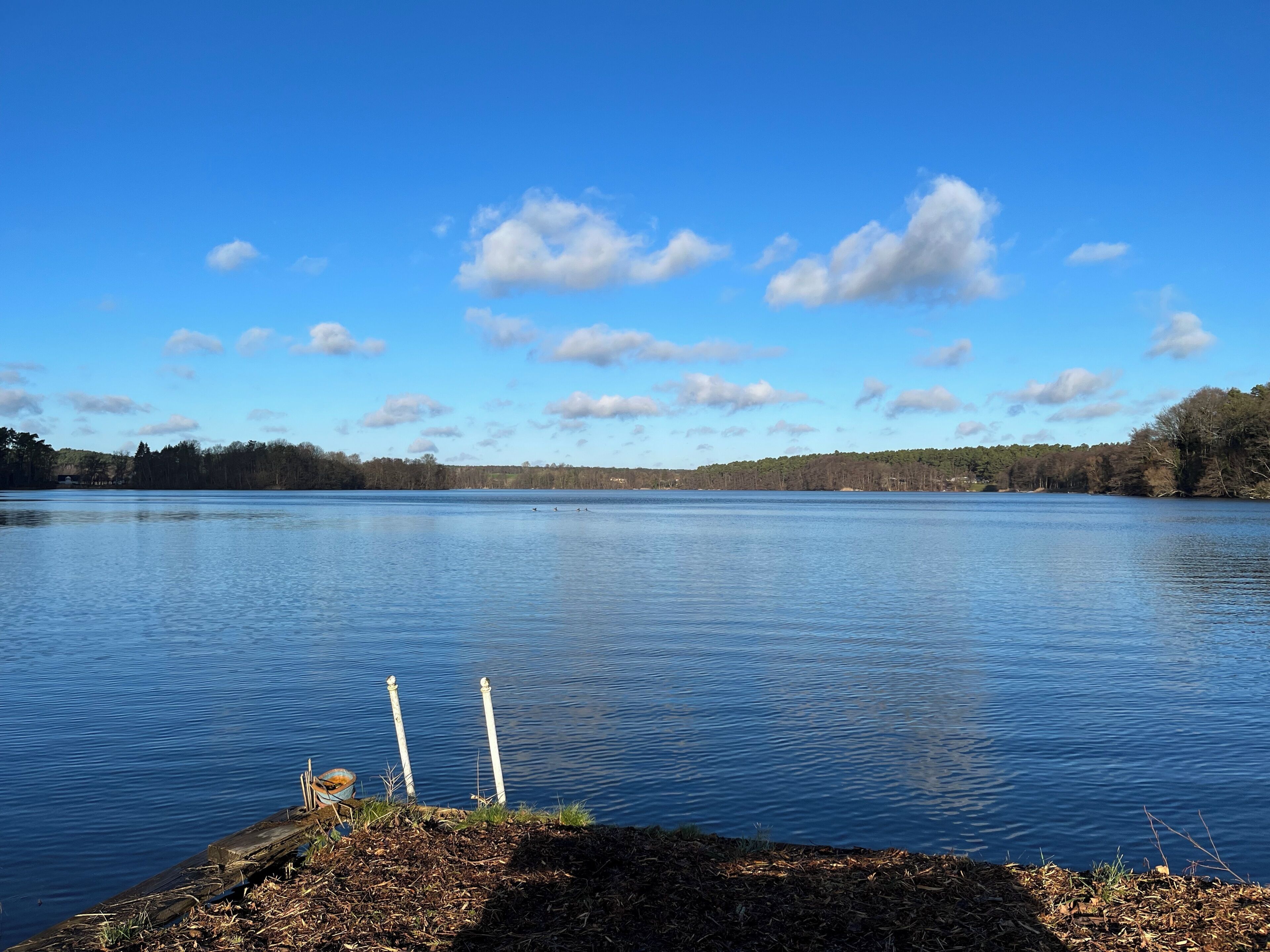 Un lac paisible aux eaux claires, sous un ciel dégagé, entouré d’arbres et bordé d’une jetée avec des poteaux.