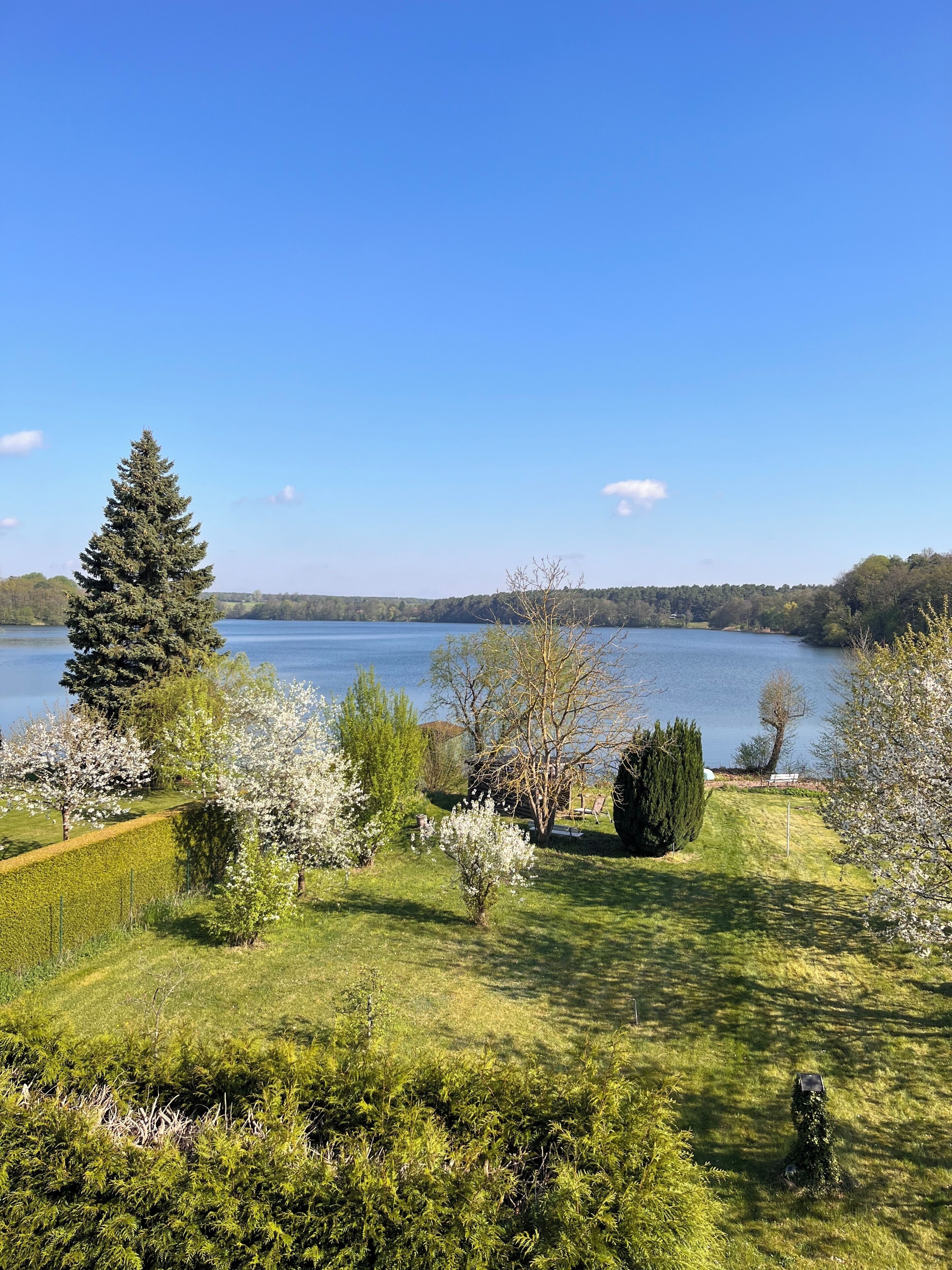 A lakeside property with a large evergreen tree, flowering shrubs, and a well-maintained lawn.