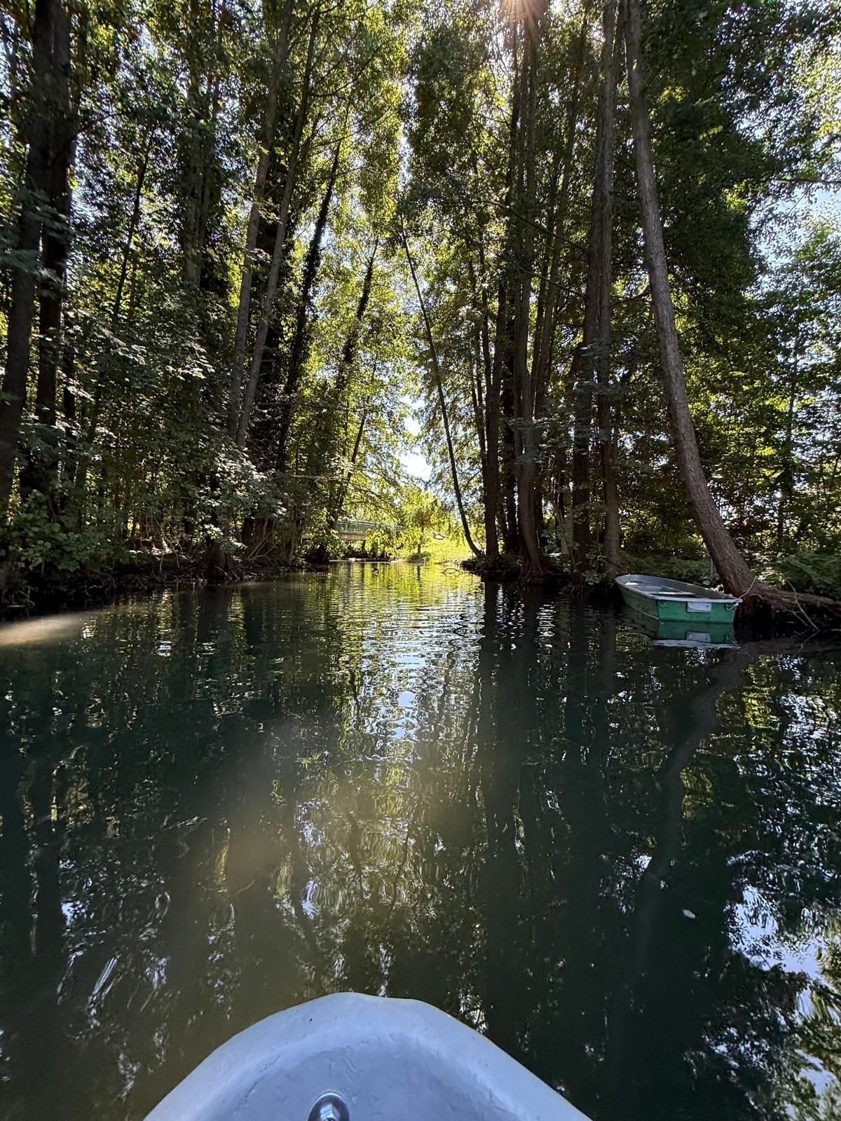 A river surrounded by dense trees with a boat docked on the right.