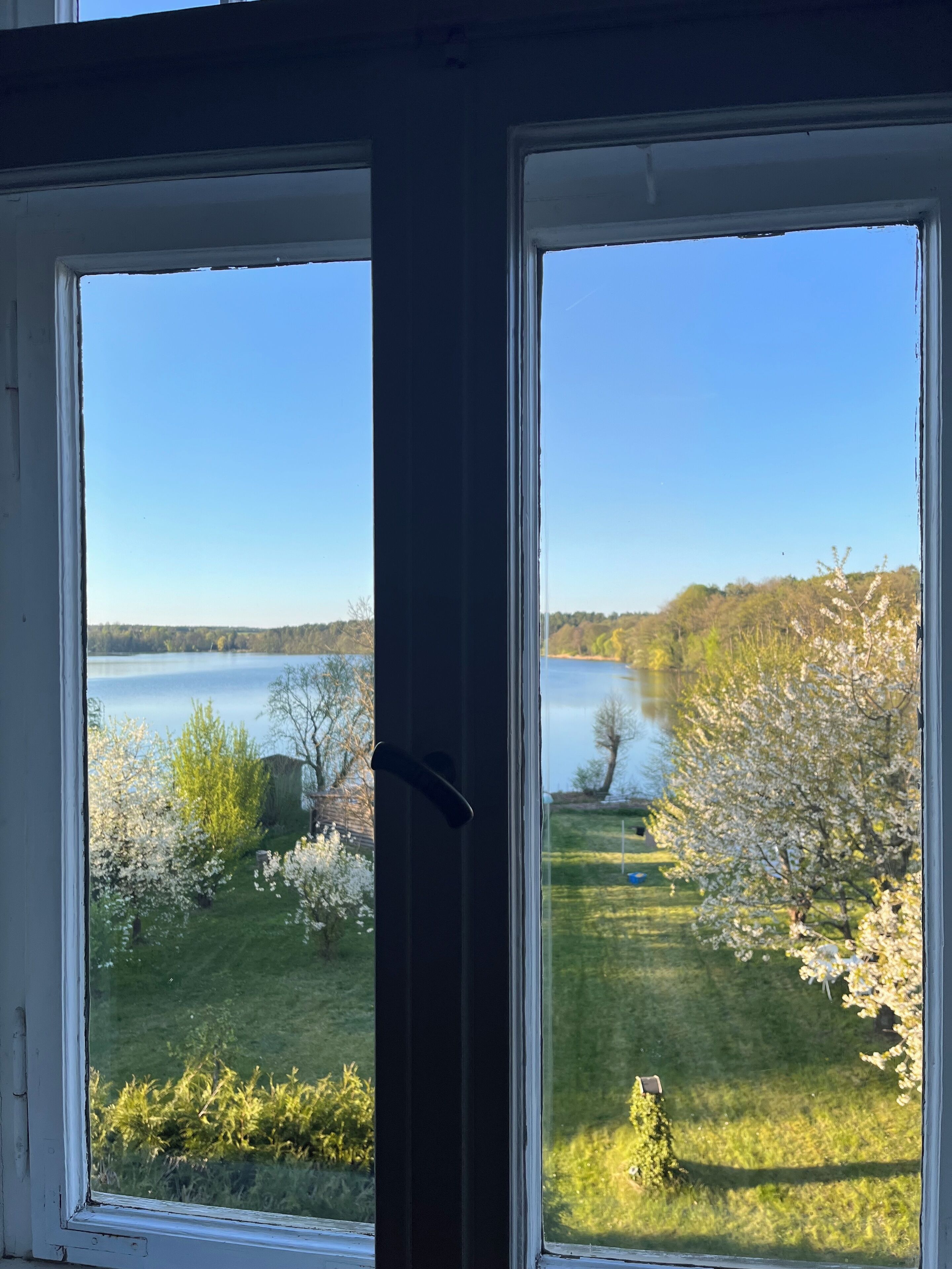A view through a window with a clear sky, a lake, and a grassy area with trees.