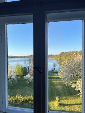 Blick durch ein Fenster auf einen klaren Himmel, einen See und eine bewaldete Wiese.