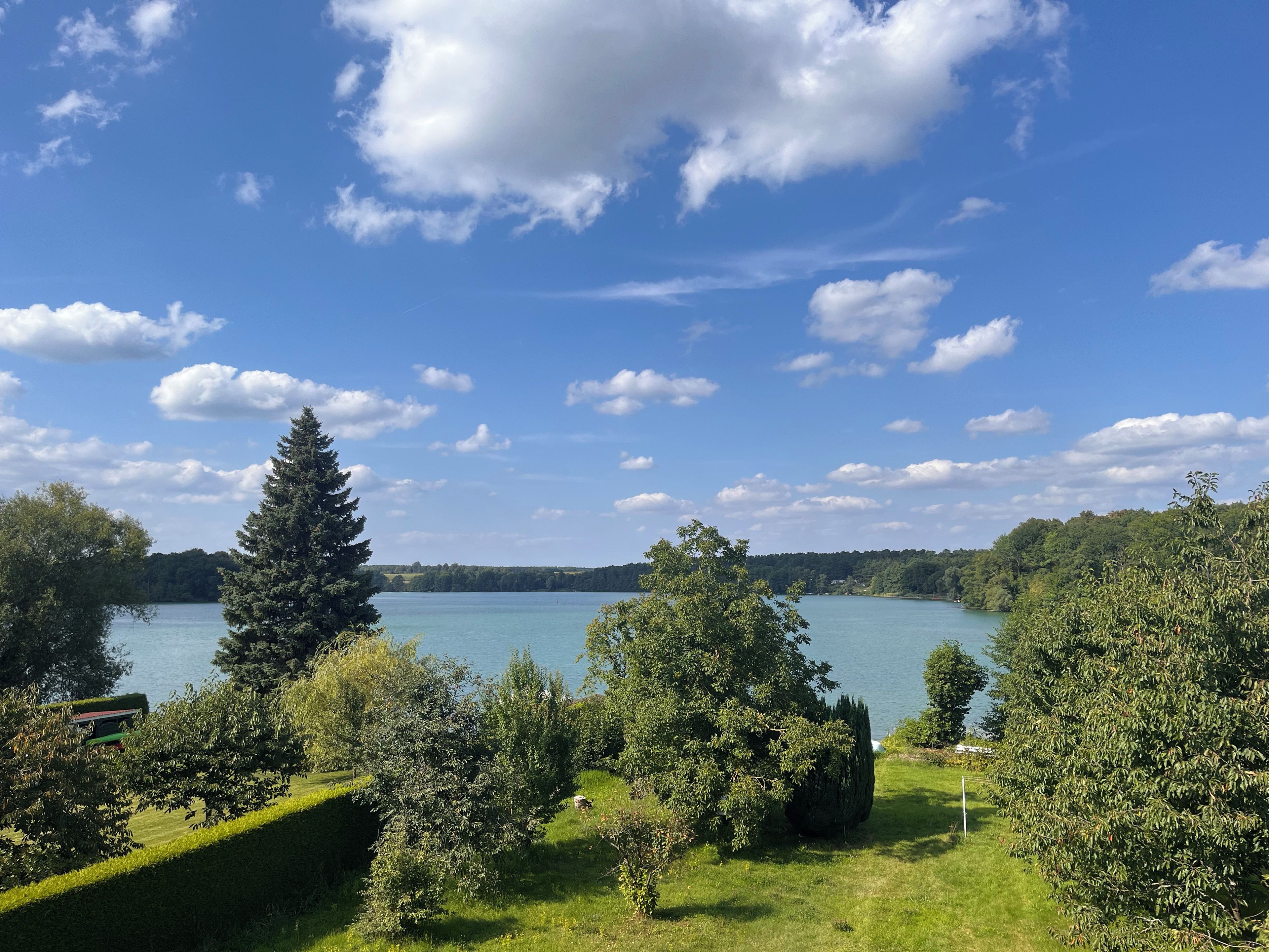 A lakeside view with trees and a clear sky.
