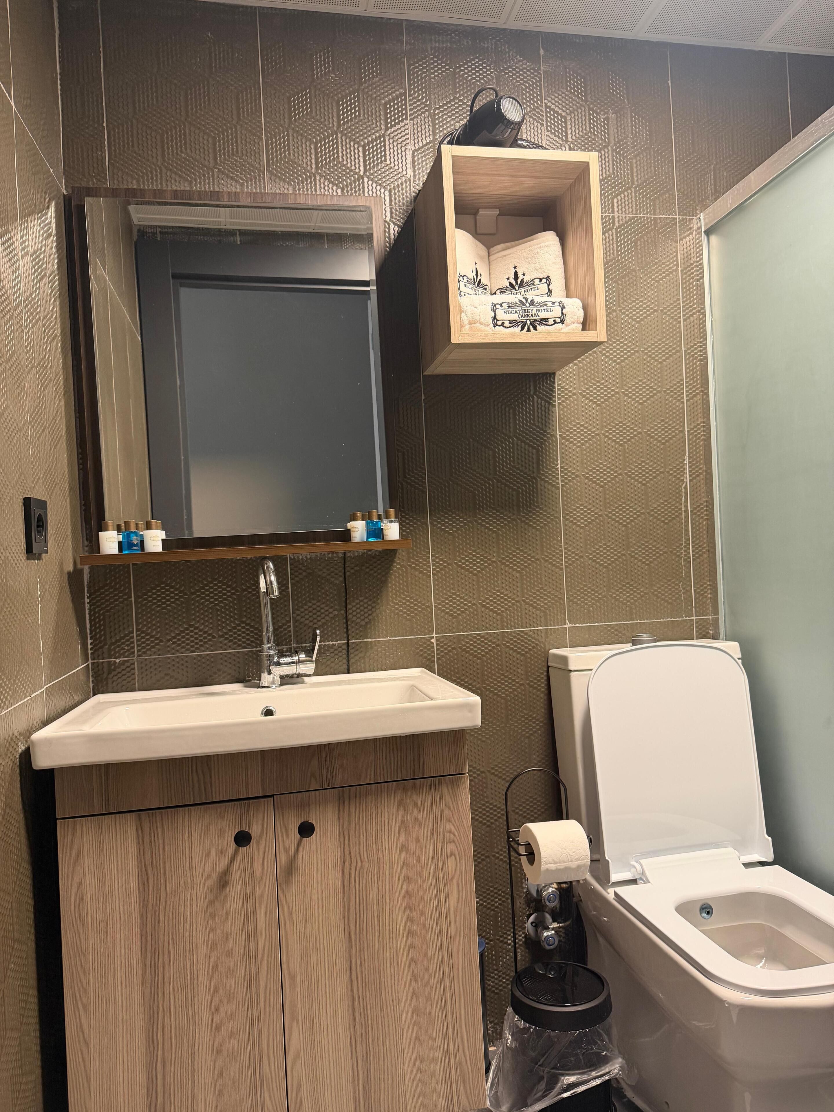 Appart'hôtel Deluxe, vue ville | Salle de bain | Articles de toilette gratuits, sèche-cheveux, serviettes fournies, savon