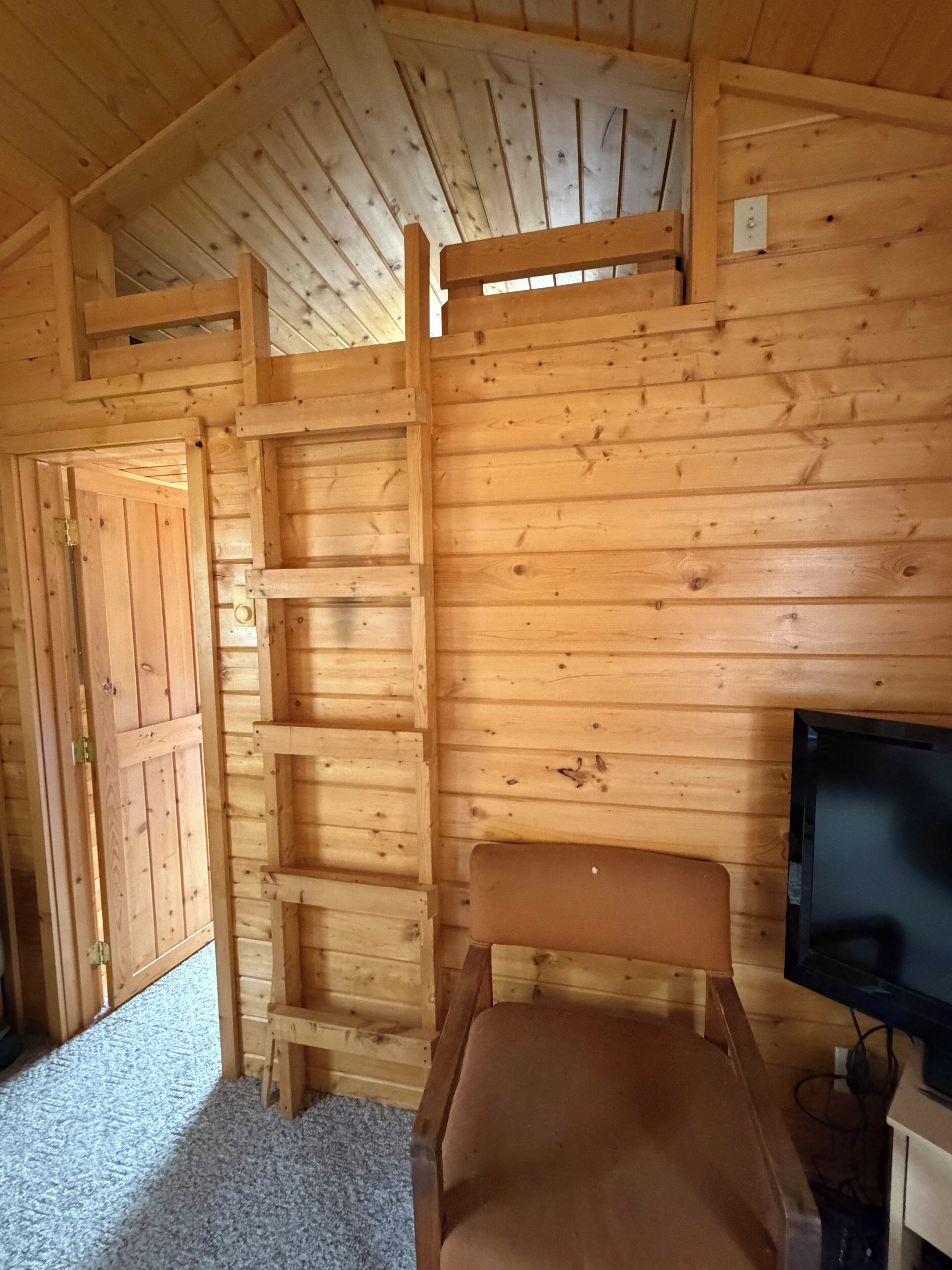 A wooden interior with a bed, a television, and a door.