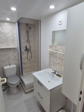 Ein Badezimmer mit Toilette, Dusche und Waschbecken.