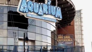 Ein Aquarium mit einem großen Schild, einer Kasse und einem Baum im Vordergrund.