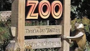 Schild am Eingang eines Zoos mit einer Löwen-Silhouette, der Aufschrift 'DENVER ZOO' und einer zweisprachigen Meldung 'Danke für Ihren Besuch'.