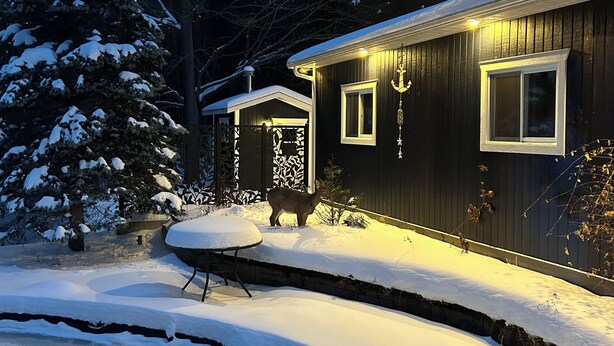 A snow-covered landscape with a wooden house, a snow-covered lawn, and a snow-covered tree. - Mont-Tremblant Escape:Cozy Fireplace & Hot Tub
Entire Home
Sleeps 6
Pet Friendly (Mont-Tremblant)