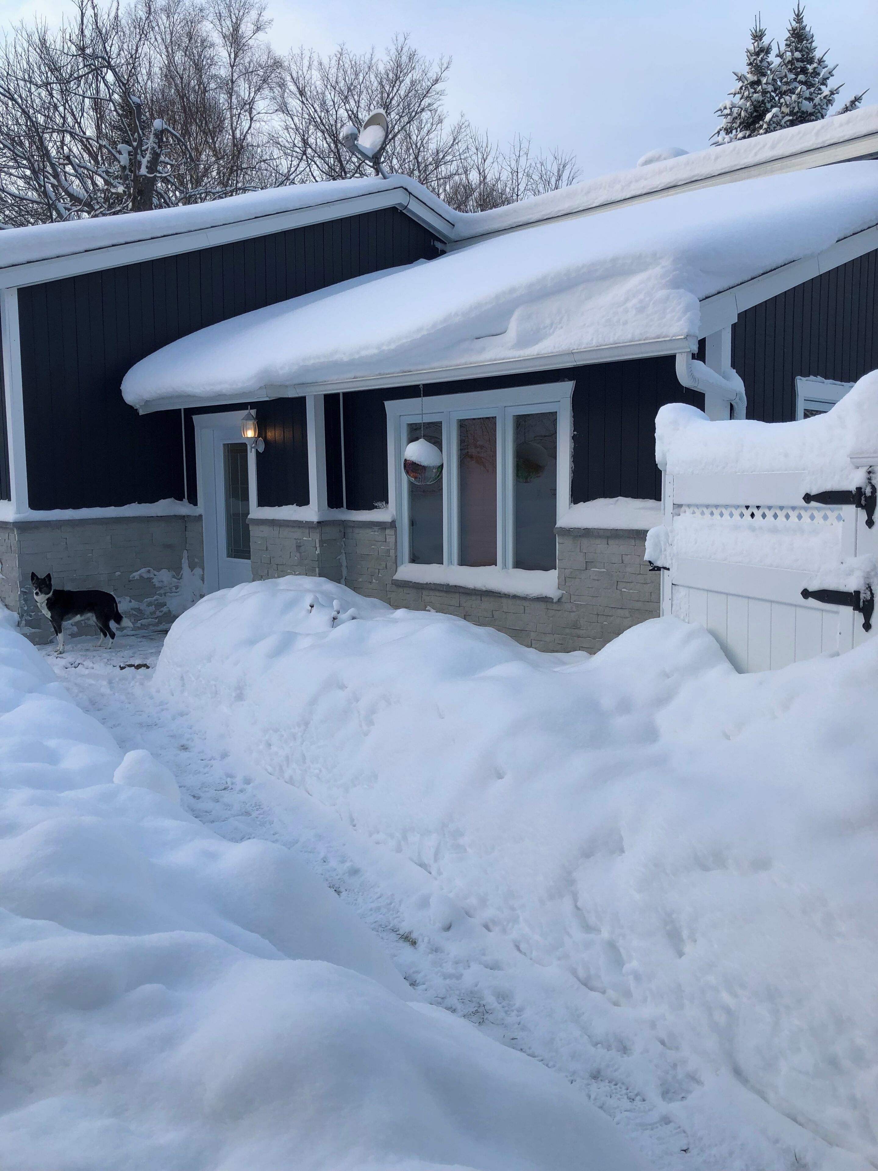 Une maison recouverte de neige, avec un garage, un chien et une allée également recouverte de neige.