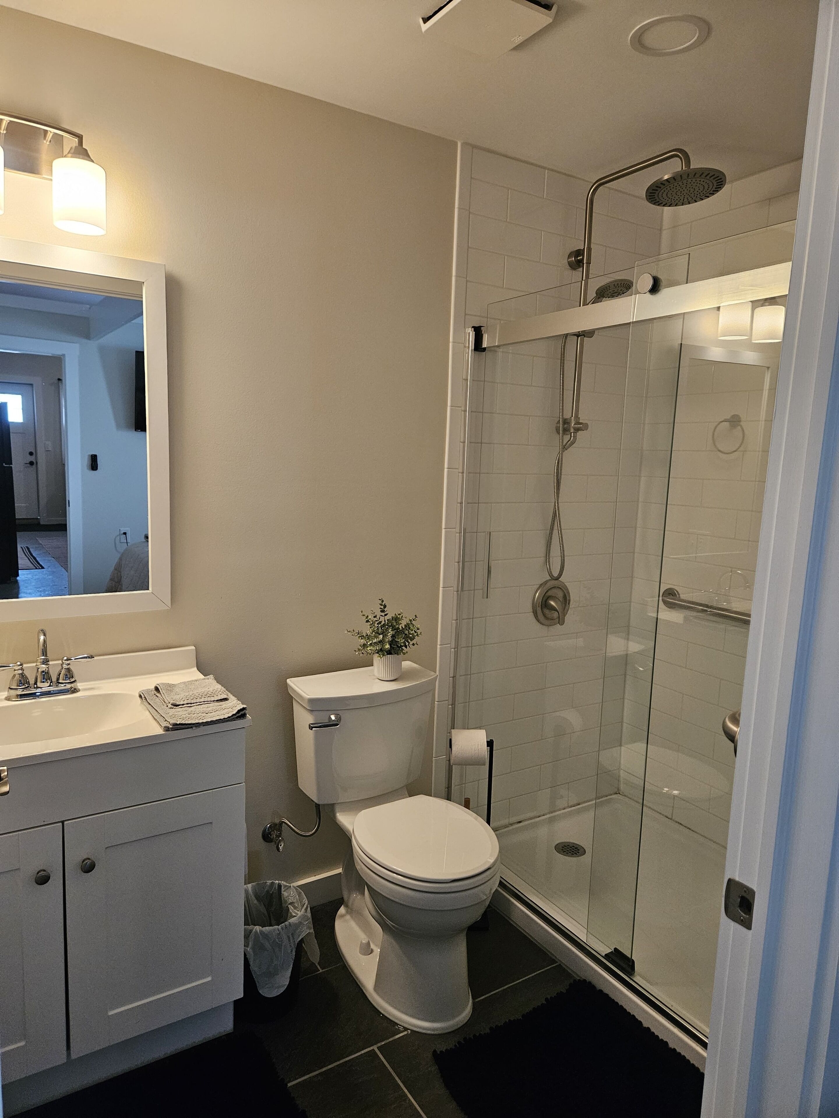 Shower, towels, toilet paper