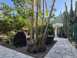 Un jardín con palmeras, cactus y un sendero de piedra.
