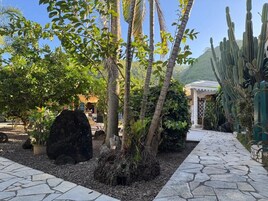 A garden with palm trees, cacti, and a stone pathway.
