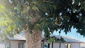 A residential property with a large tree, a house with a metal roof, and a visible front door.