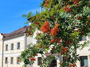 A building with multiple windows and a tree with orange fruits in front. - Apartment V&D 4 by Interhome (Rokytnice nad Jizerou)