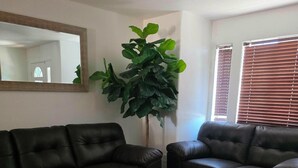 Un salon avec deux canapés en cuir noir, un pouf marron, une grande plante verte, un miroir au mur et une fenêtre avec des stores.