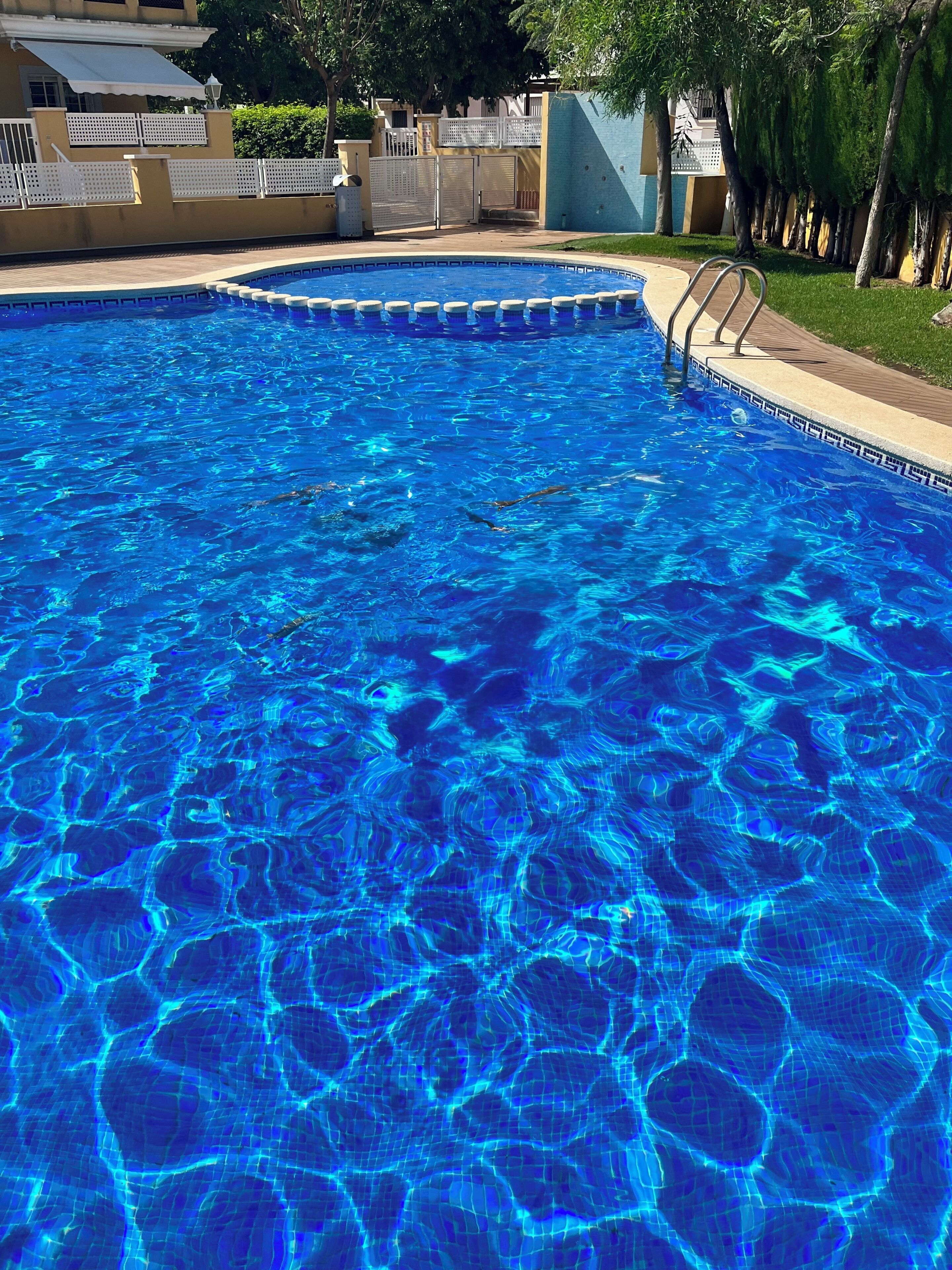 Ein klares Schwimmbecken mit einer gefliesten Kante und einer Metallleiter.