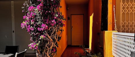 Un sendero estrecho que conduce a una puerta, bordeado por una planta floreciente y una cerca blanca.