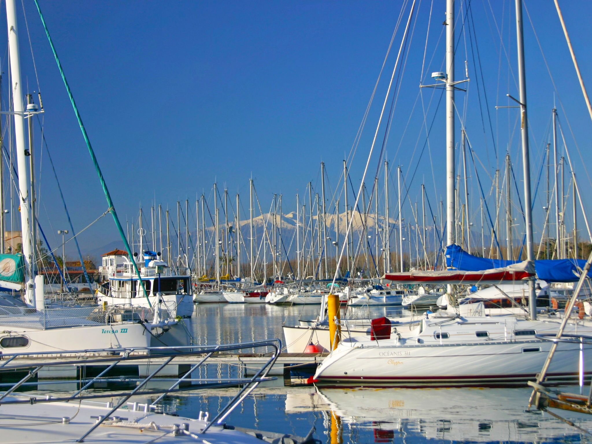 Een jachthaven met diverse boten afgemeerd, een heldere lucht en een berg op de achtergrond.