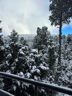 Un bosque nevado con cielo despejado.