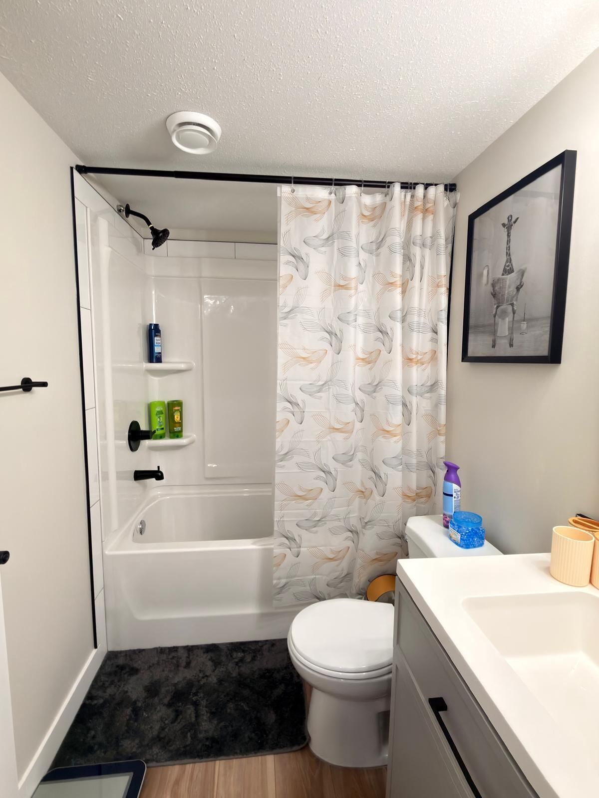 Hair dryer, towels, soap, shampoo