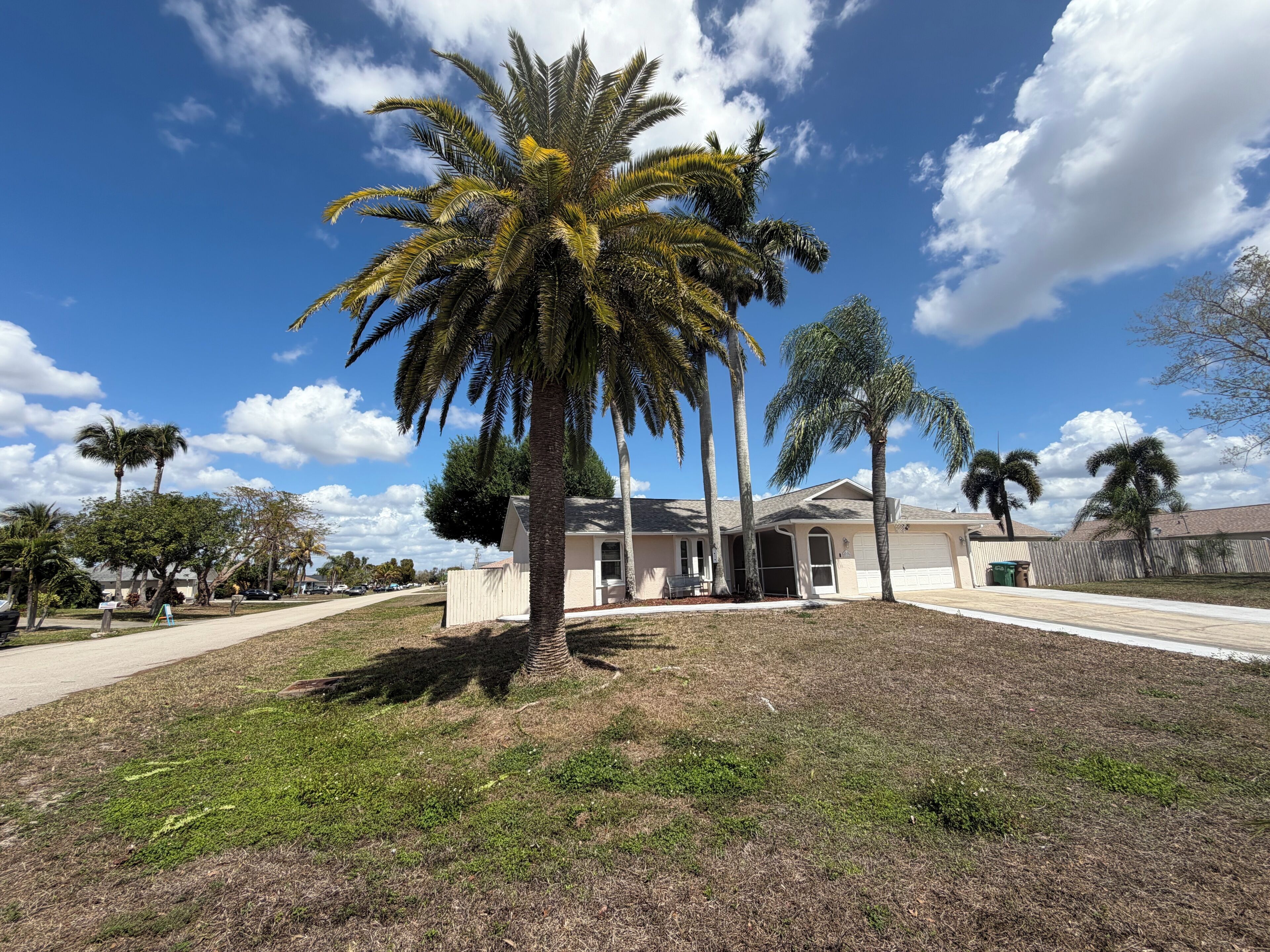 A residential property with a single-story house, a front yard, and a palm tree.