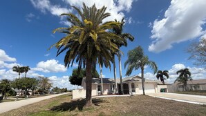 A residential property with a single-story house, a front yard, and a palm tree.