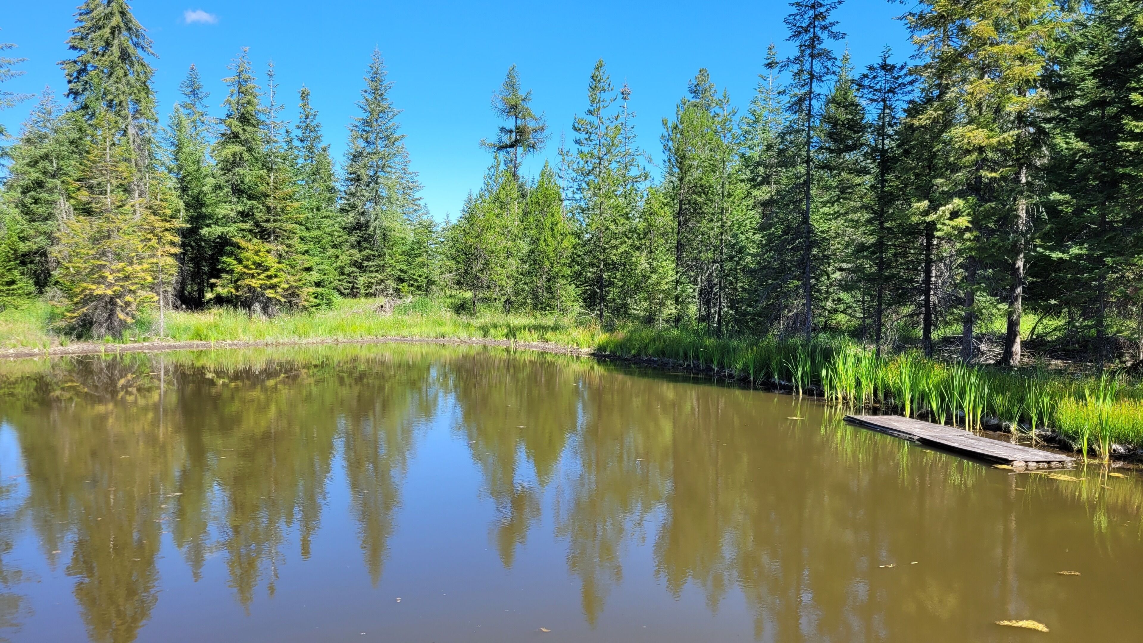 Un lac paisible, avec une jetée en bois qui s’avance sur l’eau, entouré d’une forêt dense.