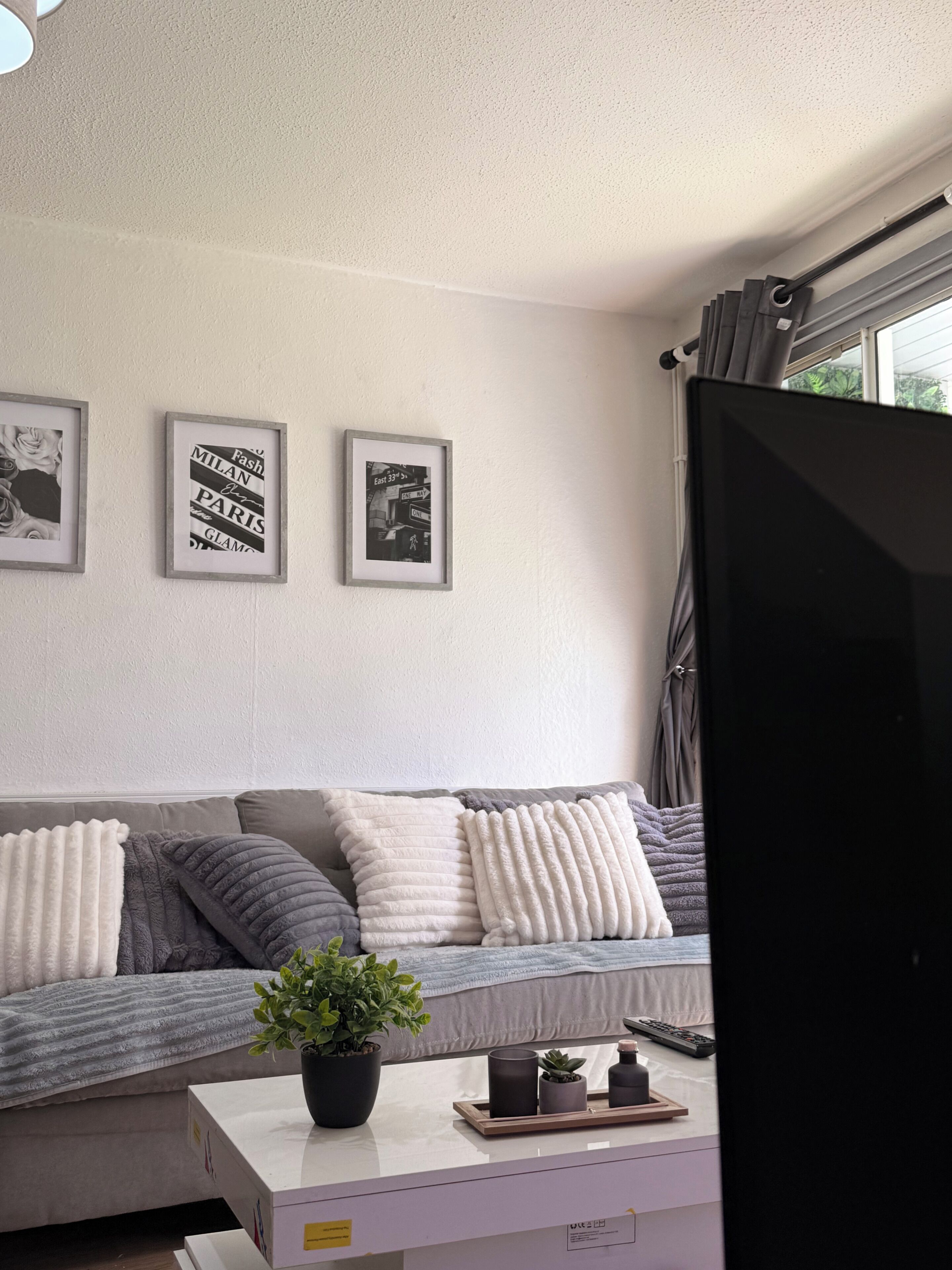 A living room with a sofa, a flat-screen TV, a potted plant, and framed pictures on the wall.