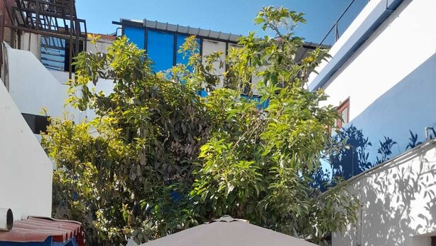 An outdoor patio with a table and chairs, a tree, and a building in the background. - ILLA HOSTELS (Arequipa)