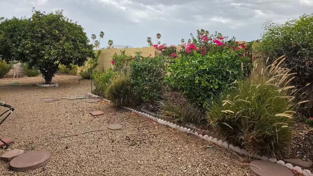 Un jardín con diversas plantas y un gran árbol.