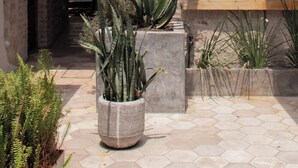 Ảnh chưa phân loại, 4 trong số 48 ảnh, nút
