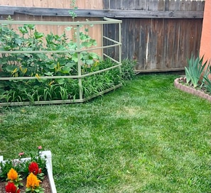 A garden with a raised bed, a wooden fence, and a grassy lawn.