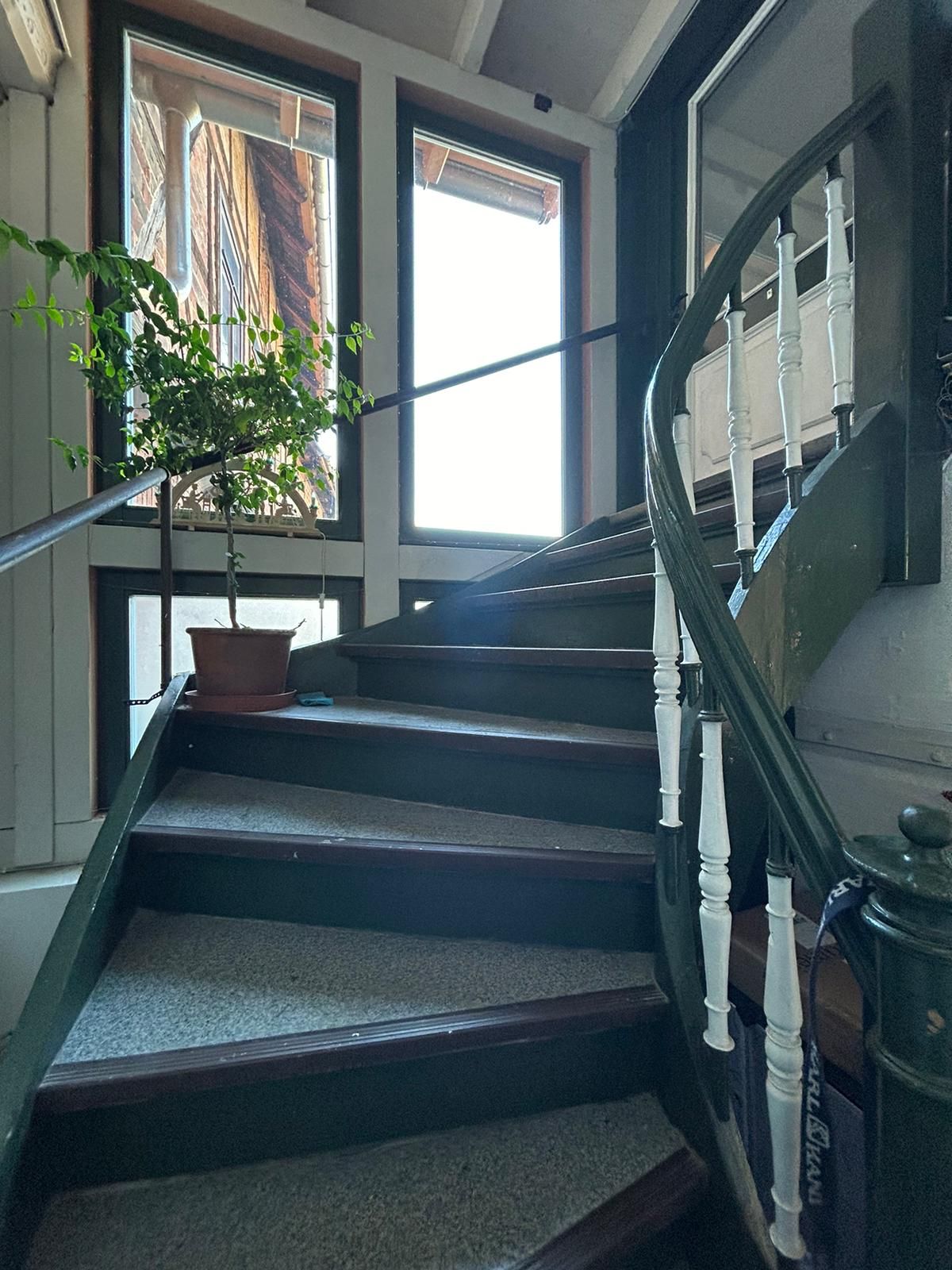 Una escalera con barandilla, una planta en maceta y vista al exterior por una ventana.