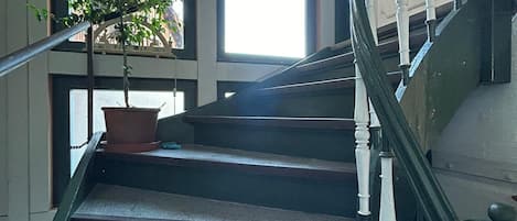 Una escalera con barandilla, una planta en maceta y vista al exterior por una ventana.