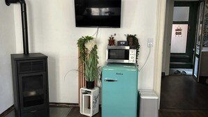A living room with a black wood-burning stove, a teal refrigerator, a flat-screen TV, and a small potted plant.