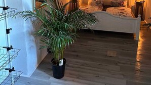 A bedroom with a bed, bedside lamps, a mirror, a potted plant, and a painting on the wall.