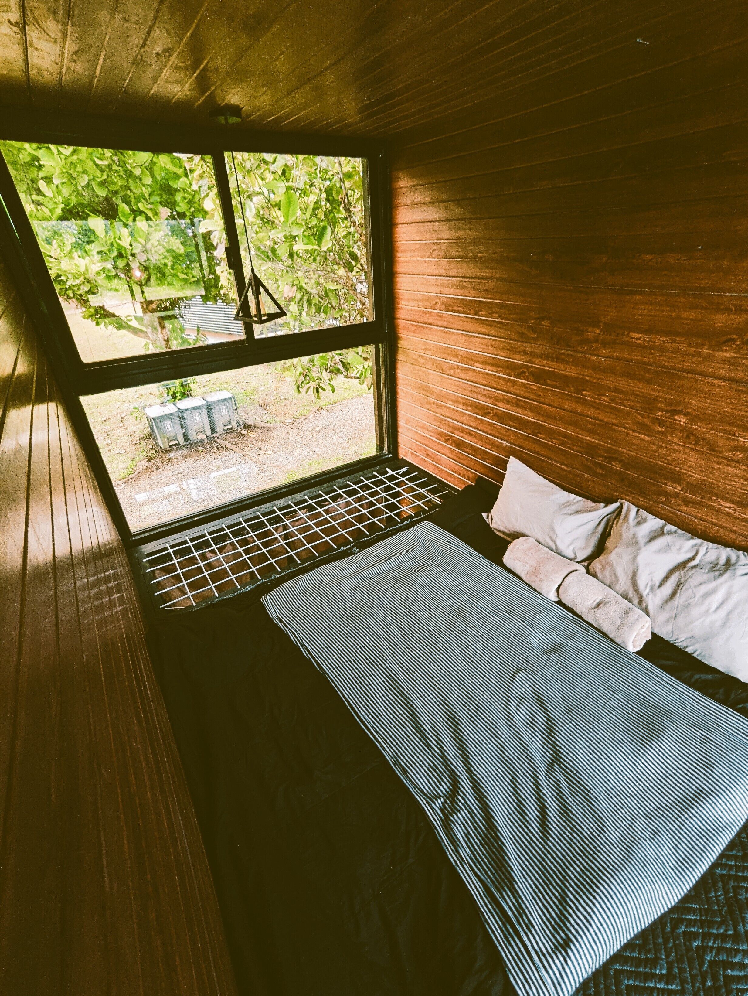 A room with a bed, a window, and a view of greenery outside.