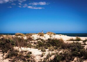 A beach with sand dunes and sparse vegetation. - Detached Beach House near Santa Cruz | Surf, Yoga & Ocean Views | Sleeps 8–10⁠ (Silveira)