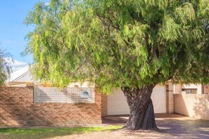 Un arbre davant d'un edifici amb una porta de garatge.