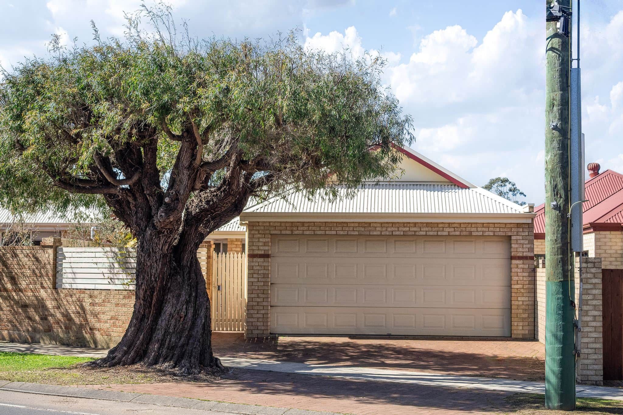 A residential property with a large tree in front of a garage.
