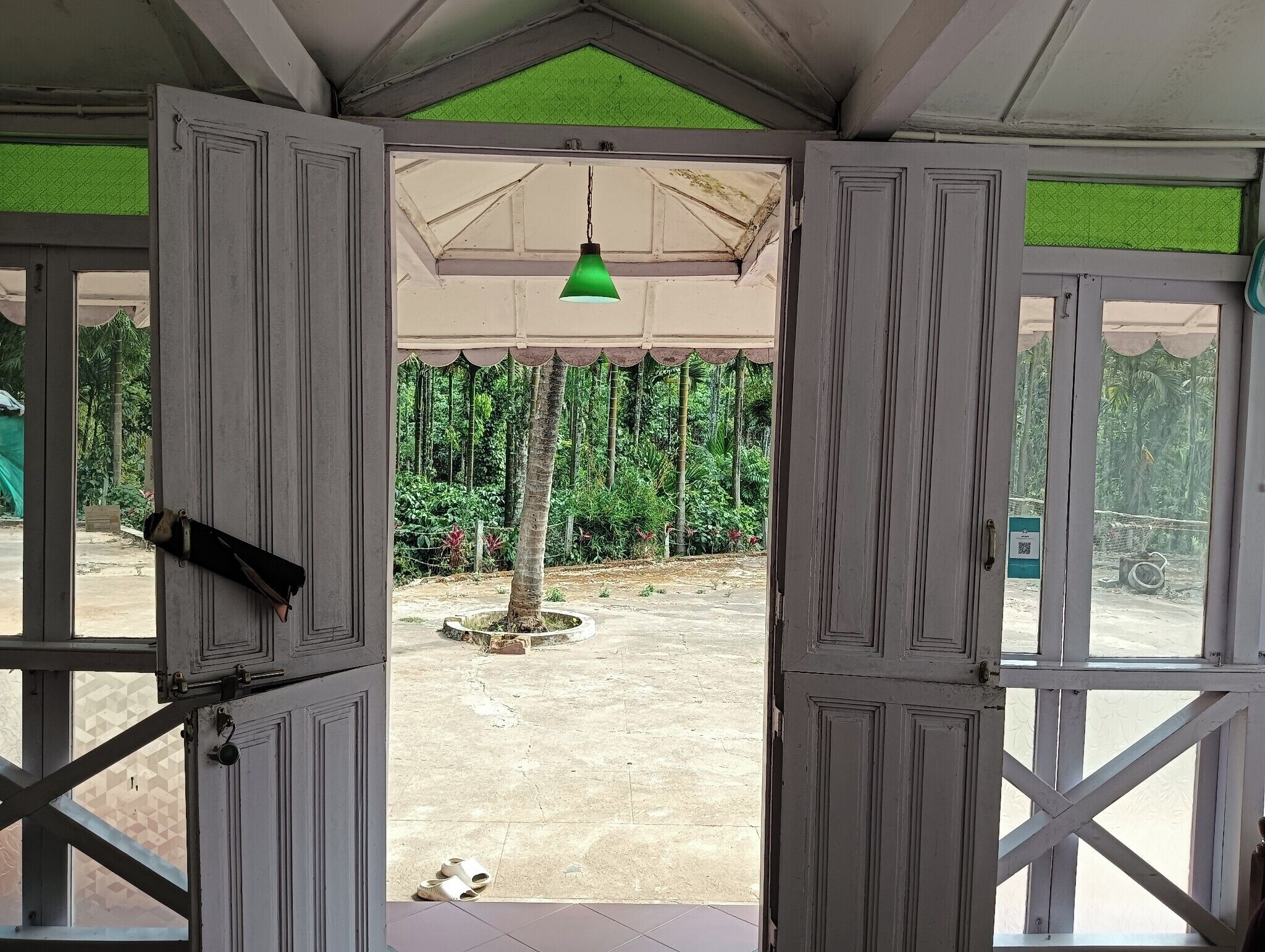 An open doorway leading to an outdoor area with a green umbrella, a tree, and a concrete floor.