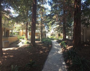 A pathway flanked by trees and buildings with a clear sky above. - Renovated 1-bedroom condo in Anaheim, perfect for your stay-5 miles from Disney! (Anaheim)
