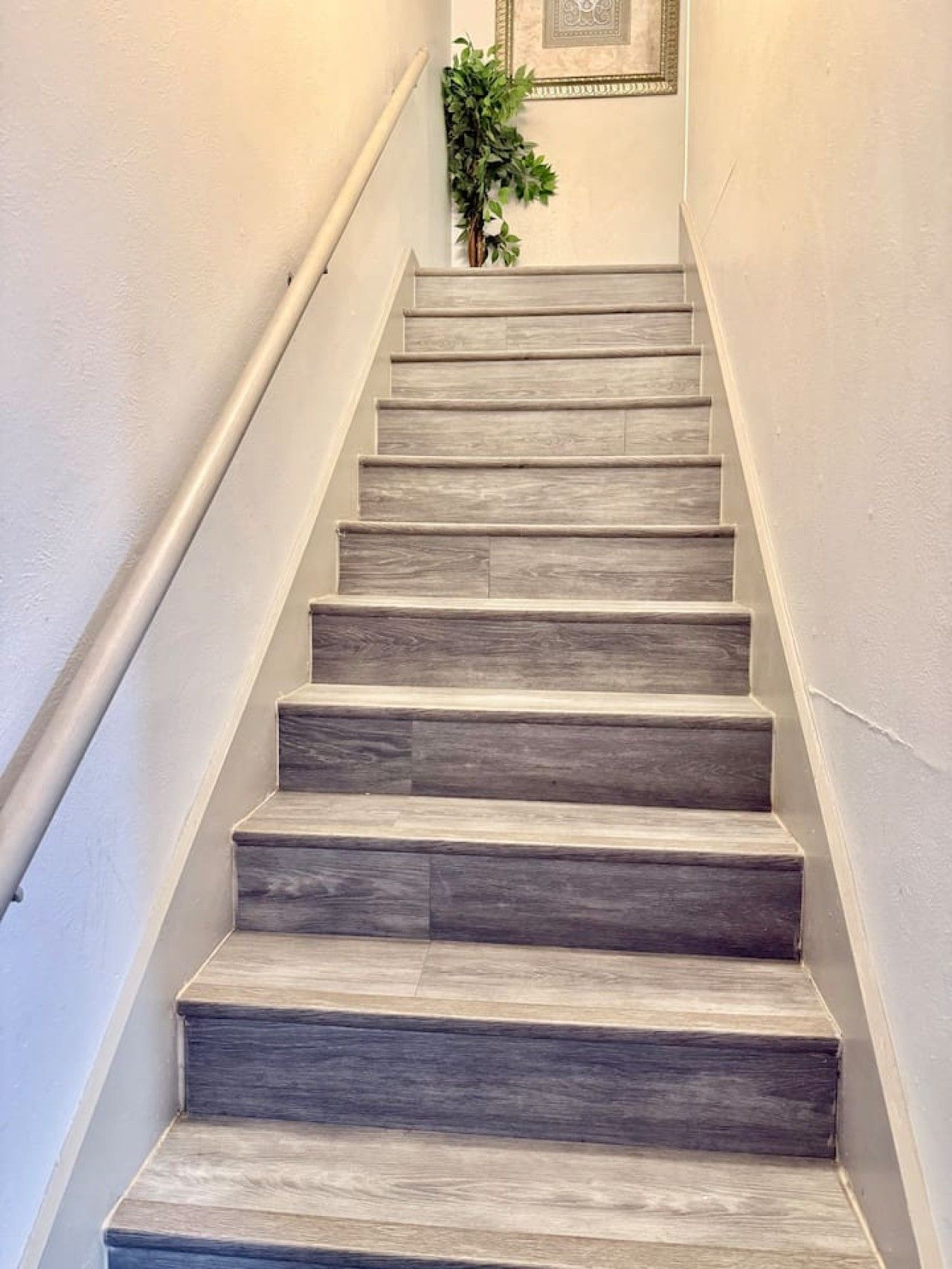 A staircase with a handrail on the left, leading to a landing with a framed picture and a plant.