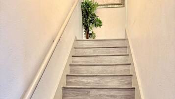 A staircase with a handrail on the left, leading to a landing with a framed picture and a plant.