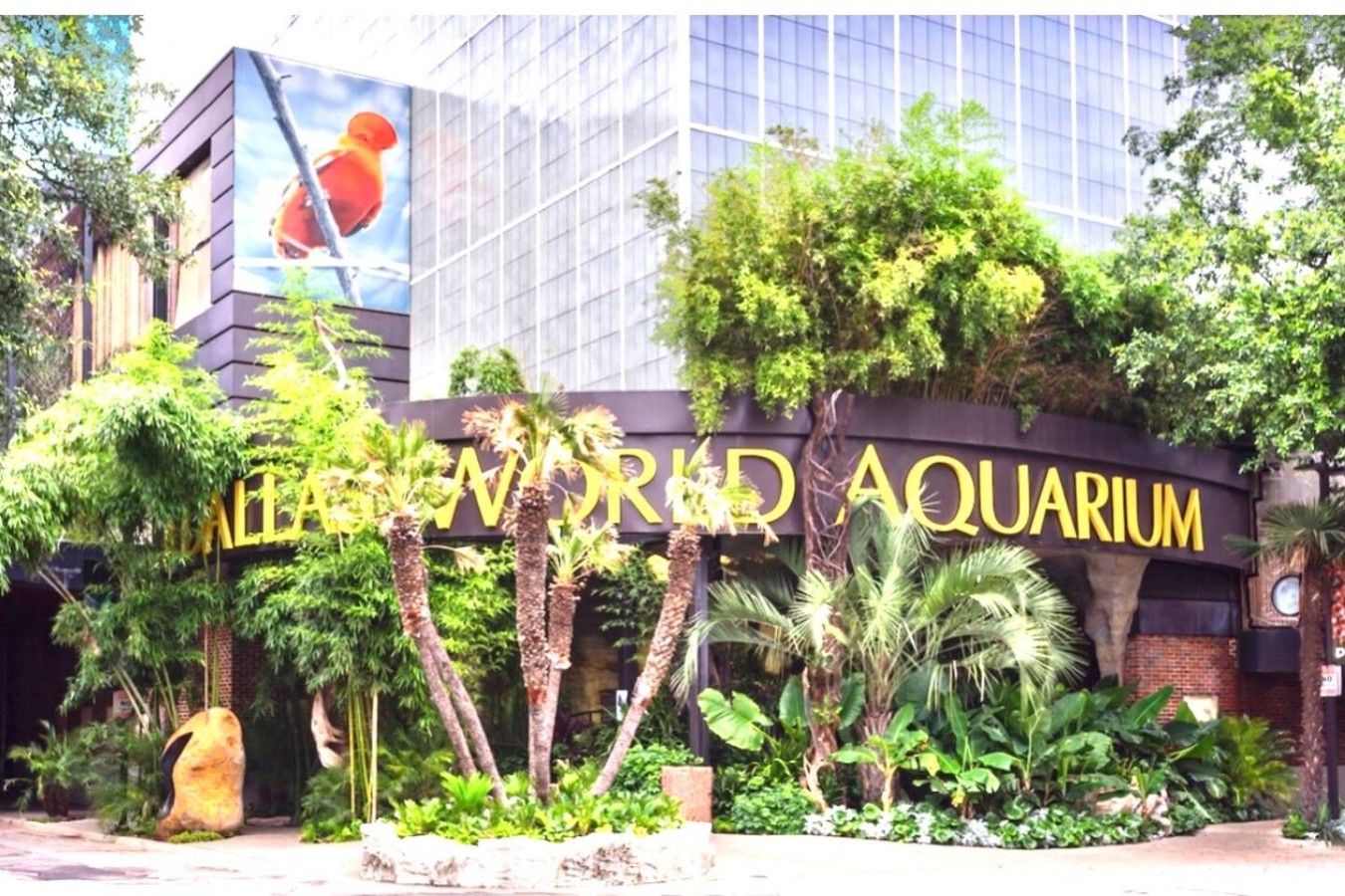 Een gebouw met een groot bord waarop 'WORLD AQUARIUM' staat en een muurschildering van een vogel.