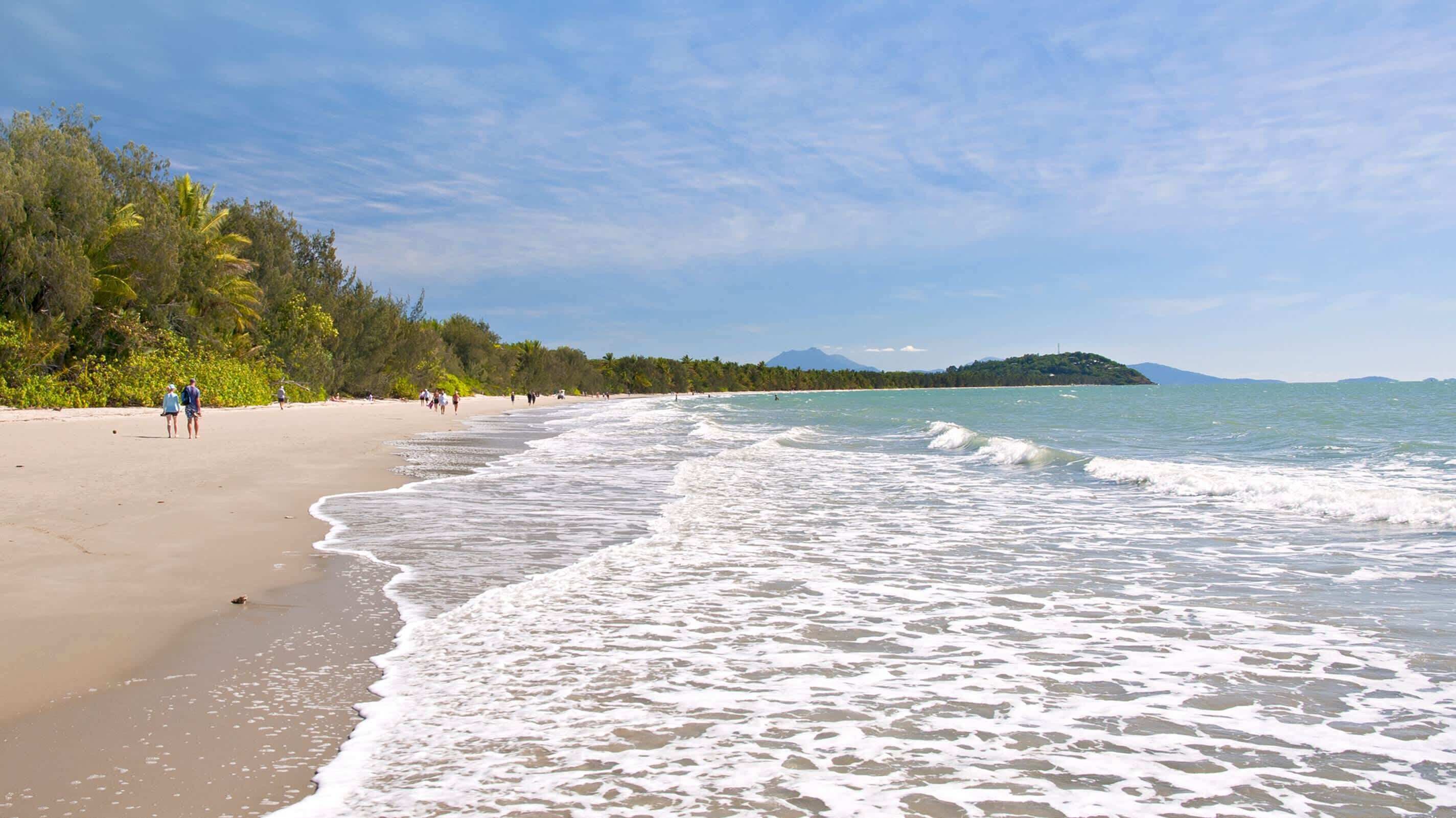 A beach with a sandy shore, waves, and a forested area with people walking.