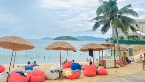 Una playa con sombrillas de paja, pufs y una palmera.