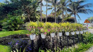 A garden with palm trees, flowering plants, and a pedestrian crossing sign. - Bai Tien Ocean Front Residences (Bac Nha Trang)